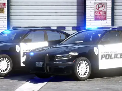 2018 Dodge Charger Senora Valley PD