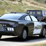 2018 Dodge Charger Senora Valley PD3