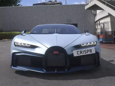 2022 Bugatti Chiron Profilee