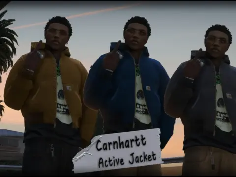 Carhartt Active Hoodie for MP Male 1.0