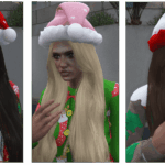 Christmas Hat (Female and Male)