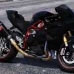 Kawasaki H22