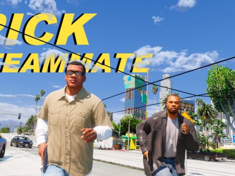 Pick Teammate 1.0