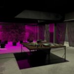 Secret Weed Plantation / Secret Mafia Base 2.0 | Fivem/SP V1.0