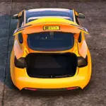 Tesla Model 3 20245