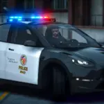 Tesla Model Y LAPD
