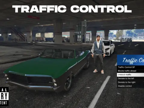Traffic Control