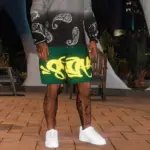 syna world Short For Franklin 1.02