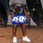 syna world Short For Franklin 1.03