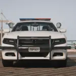 2018 Dodge Charger PPV AWD5