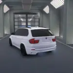 BMW X5 E70 / Lore Friendly Logos / Starlight