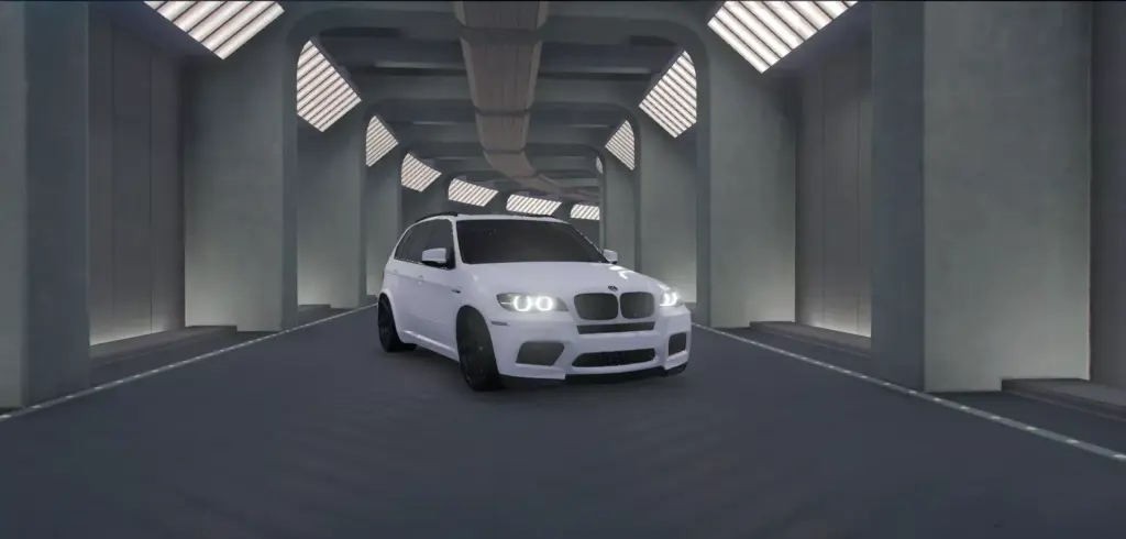 BMW X5 E70 / Lore Friendly Logos / Starlight