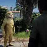 Catman Maodie
