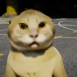 Catman Maodie5
