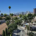 Chamberlain Street Vegetation Remaster