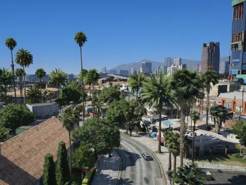 Chamberlain Street Vegetation Remaster