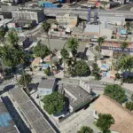 Chamberlain Street Vegetation Remaster2