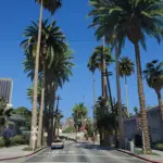 Chamberlain Street Vegetation Remaster3