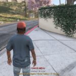 Chaos Mod menu V1.0 Chaos Mod menu 1.0