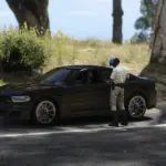 Cops on Patrol
