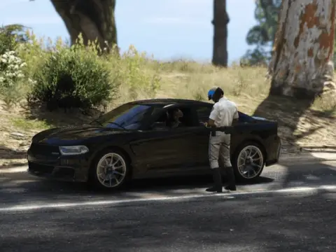 Cops on Patrol