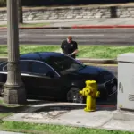 Cops on Patrol2