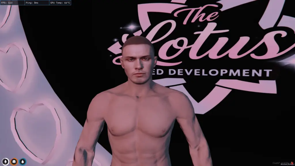 Custom Skin