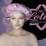 Custom Skin & Head Model 1.0