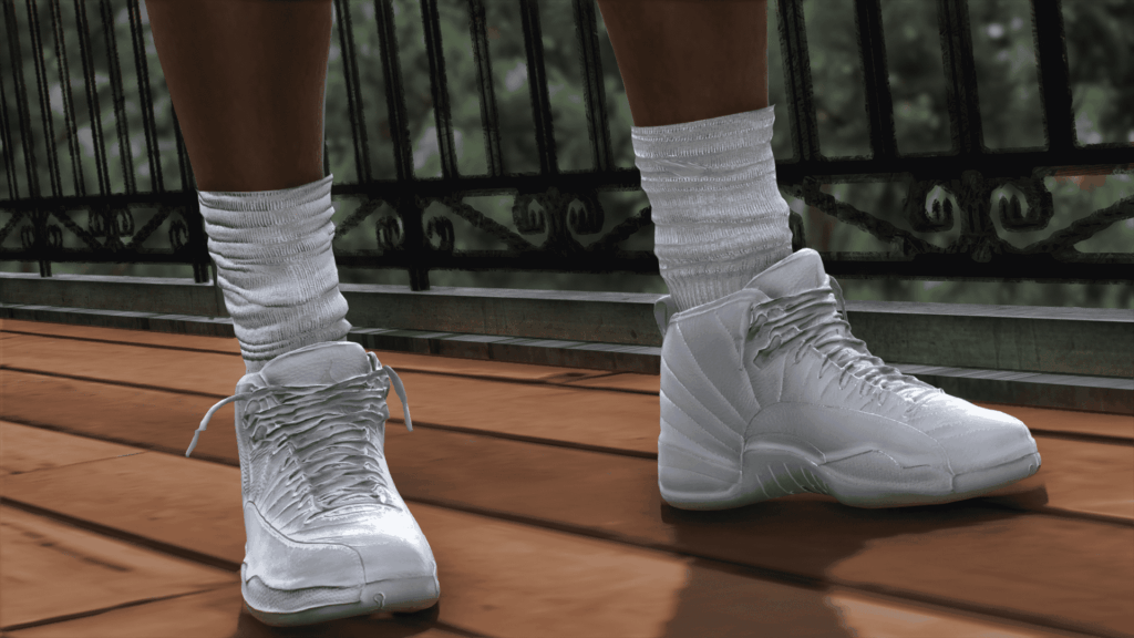 Jordan Retro 12 For MP Male