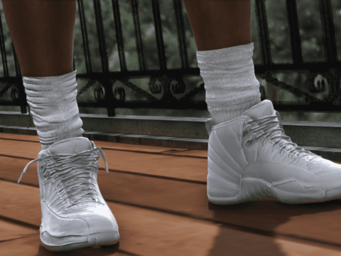 Jordan Retro 12 For MP Male