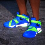 Nike Lebron Zoom Soldier 9 V15