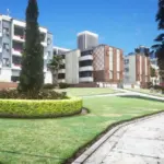 St. Valentine's Park [YMAP / FiveM] V1.0