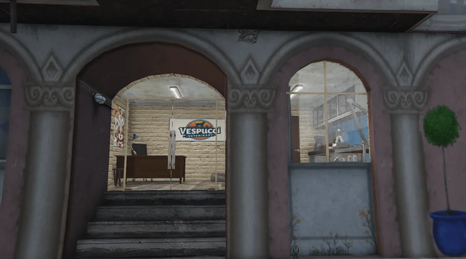 Vespucci Veterinary - Ped doctor