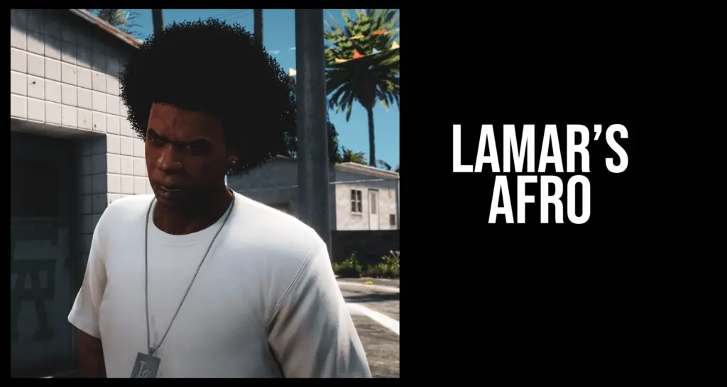 Afro For Lamar [Replace] V1.0