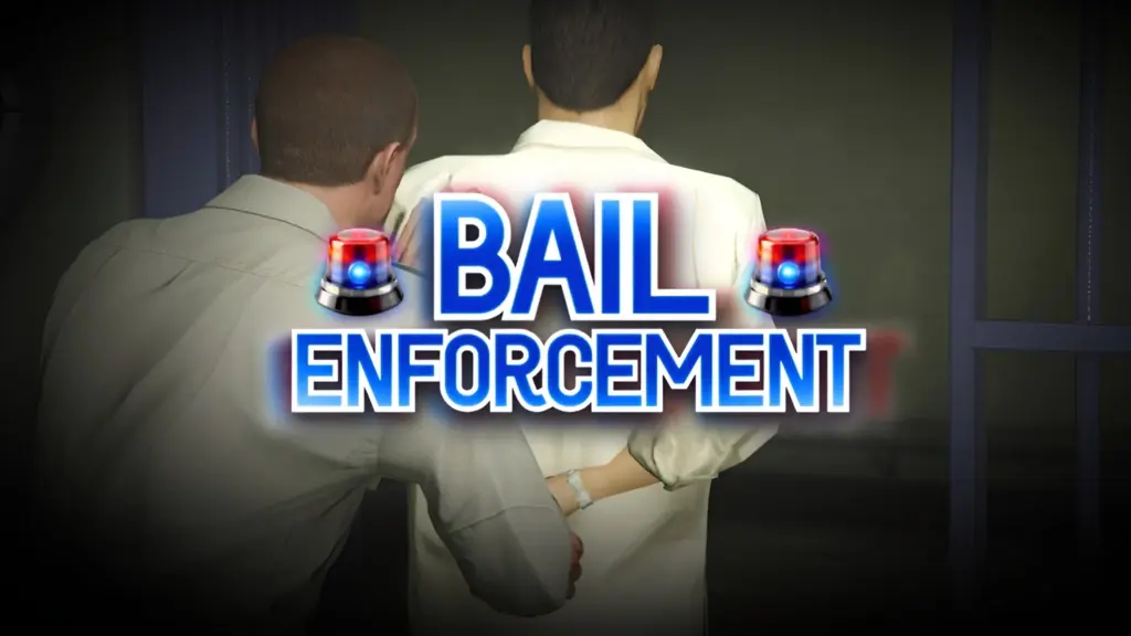 Bail Enforcement