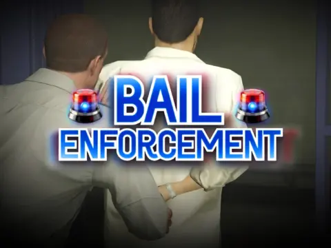 Bail Enforcement