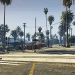 Davis Urban Vegetation [YMAP / FiveM] V1.0
