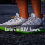 Lebron XIV Lows V1