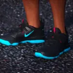 Lebron XIV Lows V14