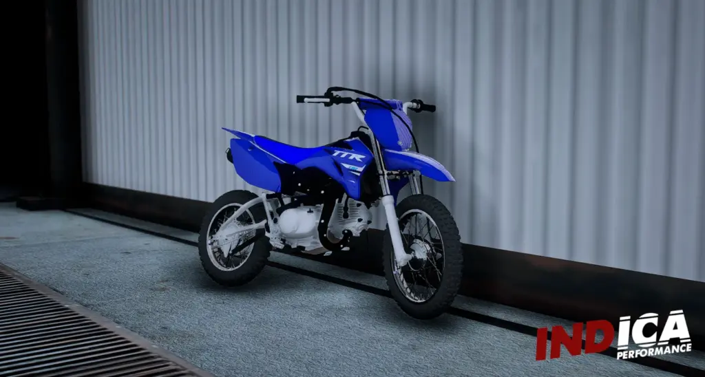 2025 Yamaha TTR 110
