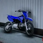 2025 Yamaha TTR 110