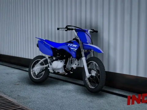 2025 Yamaha TTR 110