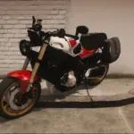2025 Yamaha XSR900 [Add-On | Tuning] V1.0