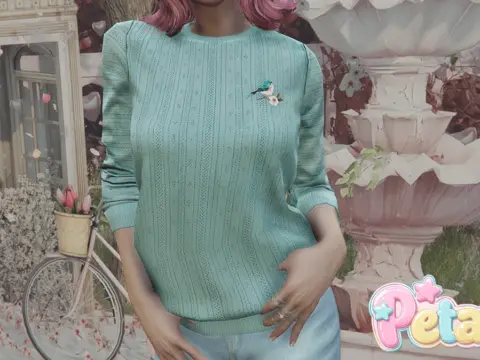 Birdy sweater for MP Female 1.0