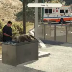 Free Medical Check Up5