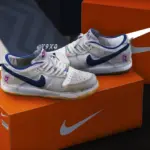 Nike Dunk Lows For Franklin 1.03
