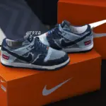 Nike Dunk Lows For Franklin 1.04