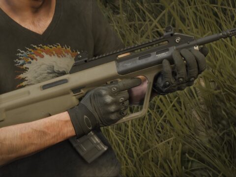 AUG A3 From COD MW 2022