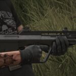AUG A3 From COD MW 20224