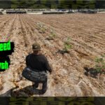 FarmWeed4
